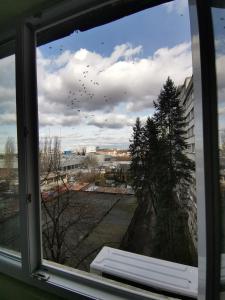 a window with a view of a tree and buildings at Modern Room With A Great Sunrise - close to the center - in Timişoara