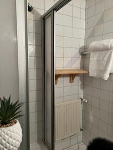 y baño con ducha y puerta de cristal. en Haus zum guten Hirten, en Steinsfeld