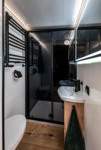a bathroom with a shower and a toilet and a sink at Seezeit im Hausboot mit Kamin & Sauna in Schwielochsee
