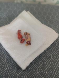 a pair of earrings sitting on a white towel at Apartmán Rose in Ostopovice