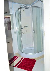 a bathroom with a glass shower with a red rug at Dolly Apartments in Nairobi