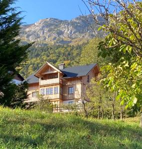 una casa en una colina con montañas en el fondo en Ferienwohnungen Haus Rose Marie, en Grundlsee