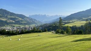 a herd of sheep grazing on a green field at Zederberg Appartements in Sankt Johann im Pongau