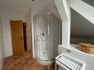 a bathroom with a walk in shower in a room at Ferienwohnung "Heidetraum" Sprotta in Doberschütz