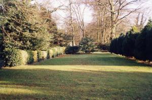 um grande quintal com uma fileira de arbustos e árvores em Abbot's Haye em Cheadle