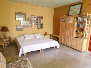 a bedroom with a bed and a book shelf at Chambre indépendante in Porto Novo