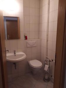 een badkamer met een toilet en een wastafel bij Nordstraße 5 - Ferienwohnung für 2 Personen in Neukieritzsch in Neukieritzsch