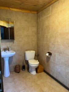 ガルナにあるCabana Craiu Garanaのバスルーム(トイレ、洗面台付)