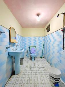 a blue bathroom with a sink and a toilet at SSM GUEST INN in Trincomalee