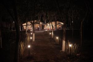 a row of lights in the woods at night at Anamala Serenity Homestay Kerala in Lakkidi