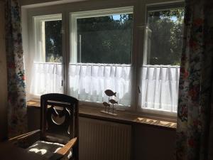 ein Fenster mit weißen Vorhängen und einem Stuhl davor in der Unterkunft Ferienwohnung zwischen Deich und Düne in Dierhagen