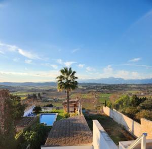 a villa with a palm tree and a swimming pool at Can Serra 4 -Santa Margalida- in Santa Margalida