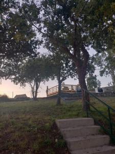 a set of stairs in a field with a tree at El rinconcito de Aldán in Aldán