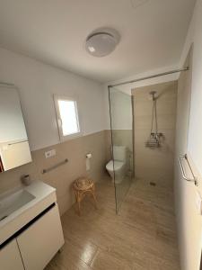 a bathroom with a shower and a toilet and a sink at Casa Dina in Es Mercadal