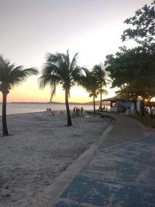 un groupe de palmiers sur une plage de sable dans l'établissement Casa em iguaba grande, à Iguaba Grande