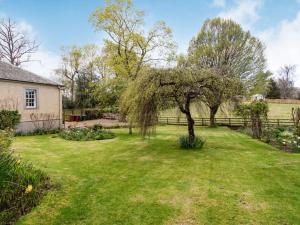 un patio con un árbol y una valla en 3 Bed in Edinburgh 87264, en Lasswade