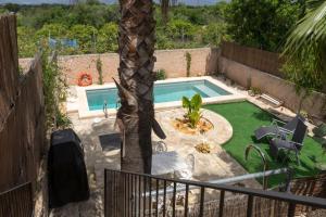 palma in un cortile con piscina di Rustic studio with private pool and private garden a Biniali