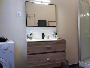 ミヨーにあるL'appart Millauのバスルーム(洗面台、鏡付)
