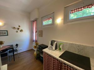 a kitchen with a counter top and two windows at Casa di Arianna alle Cinque Terre in Corniglia