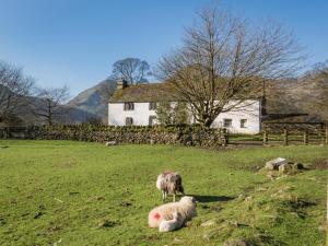 two sheep standing in a field in front of a house at 4 Bed in Patterdale SZ170 in Patterdale