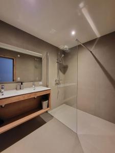 La salle de bains est pourvue d'une douche en verre et d'un lavabo. dans l'établissement Almtraum Berwang, à Berwang