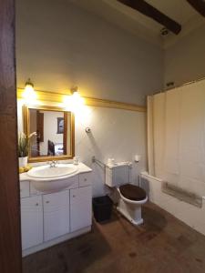 a bathroom with a toilet and a sink and a mirror at Ca l'Aleixa Rooms in Bisbal de Falset +14 photos