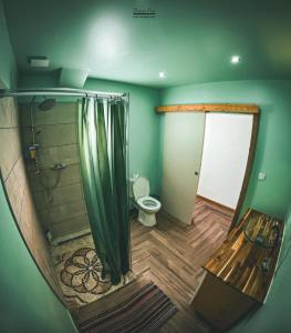 een badkamer met een douche en een toilet. bij Villa la fournaise in Le Tampon