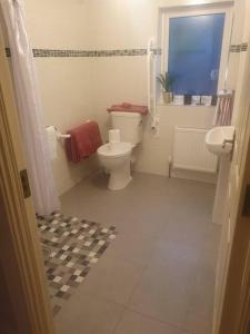 Baño blanco con aseo y lavamanos en Alt Mór House Garden Studio-Self Catering Sleeps 2 en Portnoo
