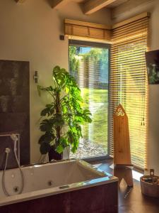 eine Badewanne im Bad mit einer Pflanze neben einem Fenster in der Unterkunft MöhneSeeBlick in Möhnesee
