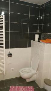 a bathroom with a toilet and a black tiled wall at Apartmánový domček Michal in Oravská Lesná