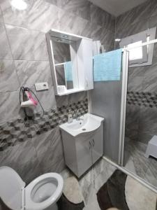 bagno con servizi igienici, lavandino e specchio di Gümüldür sahile 40m DSİ ve TMO kamp yani, aile için uygun a Gumuldur