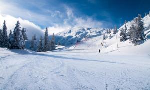 a person skiing down a snow covered ski slope at ANDALO RELAX APARTMENT in Andalo