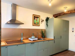 貝爾梅奧的住宿－Charming flat in historic centre by Santa Maria，厨房配有绿色橱柜和水槽
