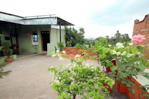 Zahrada ubytování hotel Backpackers inn