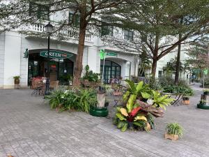 Green Inn Phu Quoc Hotel في فو كووك: مجموعة من النباتات أمام مبنى