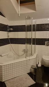 a bathroom with a shower and a tub and a toilet at Charming 6 bed chalet in 4 Valleés in Iserables