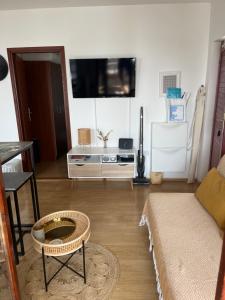 a living room with a couch and a tv on the wall at Sara Brela Apartment in Brela