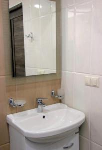 Koupelna v ubytování Excellent apartment in the Republic Square Pushkin 3