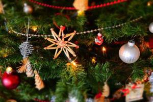 Φωτογραφία από το άλμπουμ του Pet Friendly Family Home In Brisbane - Relocations and Family Stays - Fast Internet - Parking - Netflix στο Μπρισμπέιν