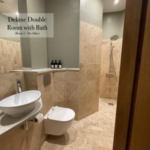 a bathroom with a shower and a toilet and a sink at The Roost in Cullompton