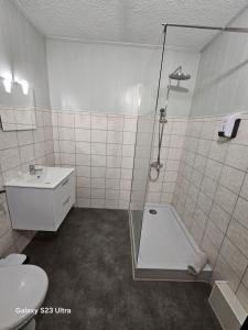 y baño con ducha, aseo y lavamanos. en Hôtel Restaurant Les Alizes Loriol Le Pouzin, en Le Pouzin