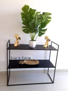 a black shelf with a plant and a plate on it at 3 bdr spacious apt in praia in Praia