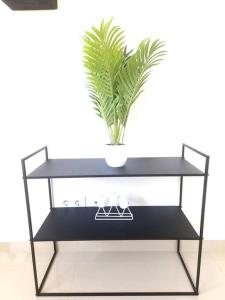 a black shelf with a potted plant on it at 3 bdr spacious apt in praia in Praia