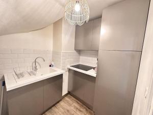 Una pequeña cocina con fregadero y refrigerador. en Drouet d'Erlon duplex spacieux, terrasse au centre, en Reims 26 fotos más