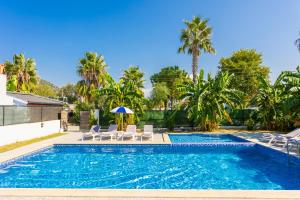 uma piscina com cadeiras e um guarda-sol e palmeiras em Villa Mazoya em Dalyan