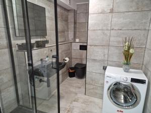 een badkamer met een wasmachine en een wastafel bij Sam Apartments in Muhlheim am Main