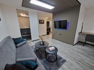 een woonkamer met een bank en een tv bij Sam Apartments in Muhlheim am Main