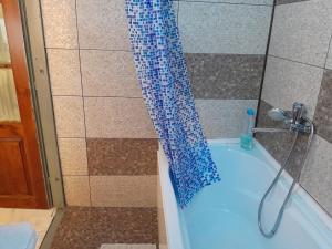 een douche met een blauw douchegordijn in de badkamer bij Olga house Deva in Deva