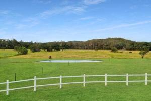 een wit hek in een veld met een paard erin bij The Sanctuary - Family Retreat - Noosa Hinterland in North Arm +56 foto's