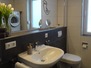 a bathroom with a sink and a toilet and a mirror at Hangar 19 Seebrise in Schwerin +11 photos